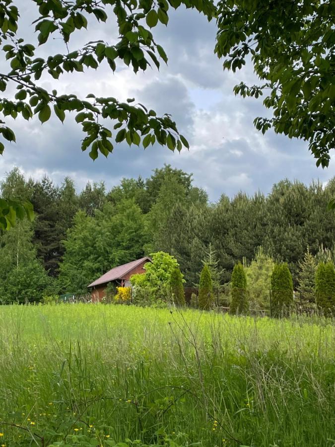 Wittowka - Domek Na Wylacznosc Z Dala Od Sasiadow Томашув-Лубелскі Екстер'єр фото